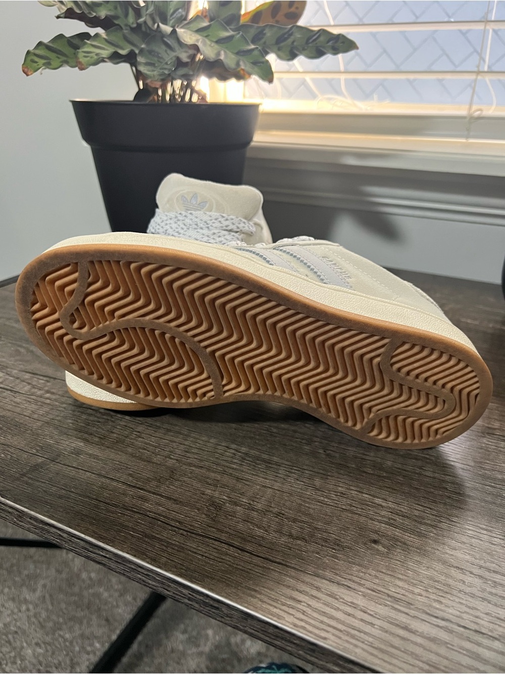 Adidas Campus Sz6 - Picture 6 of 6